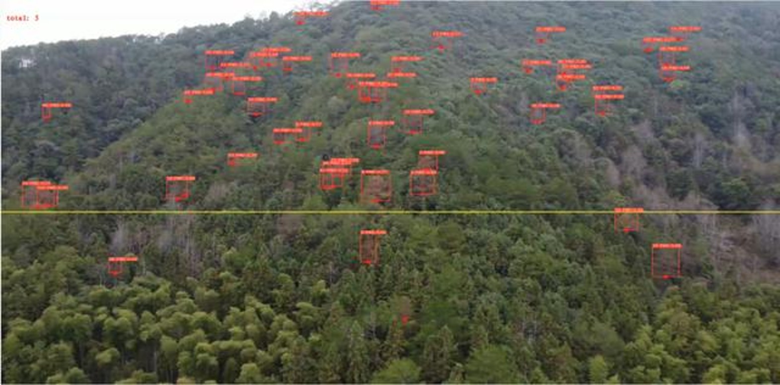 某市林草局低空数智应用